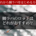 2019年度版【鯛ラバ初心者必見！】鯛ラバのロッドはどれがおすすめ？