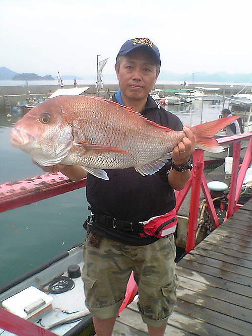 しまなみ 来島海峡 鯛カブラレポート 鯛ラバ