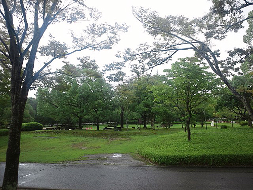 2011090504.jpg